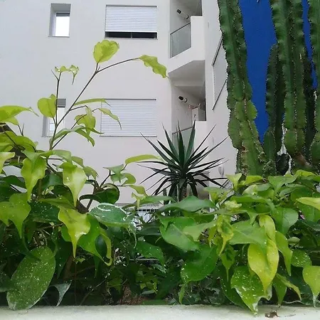 Le Lagon De Hammamet Quarto foto