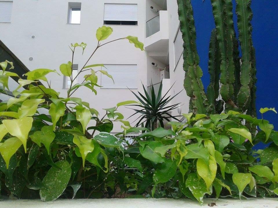 Apartment Le Lagon De *