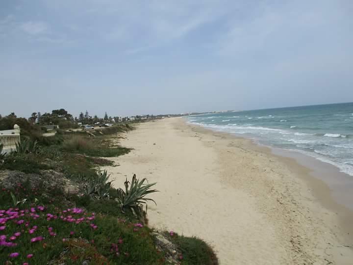 Le Lagon De Hammamet