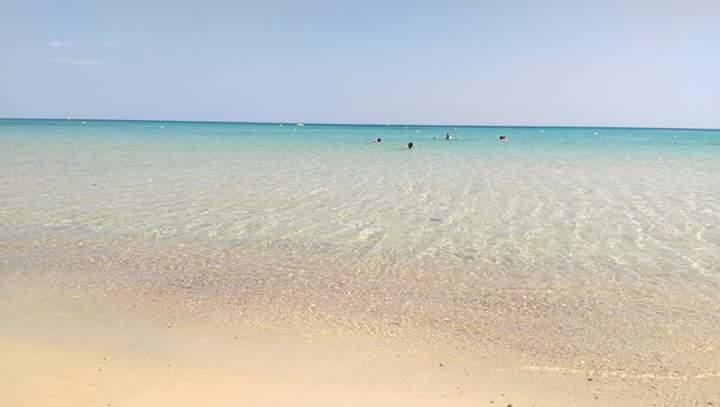 Apartment Le Lagon De
